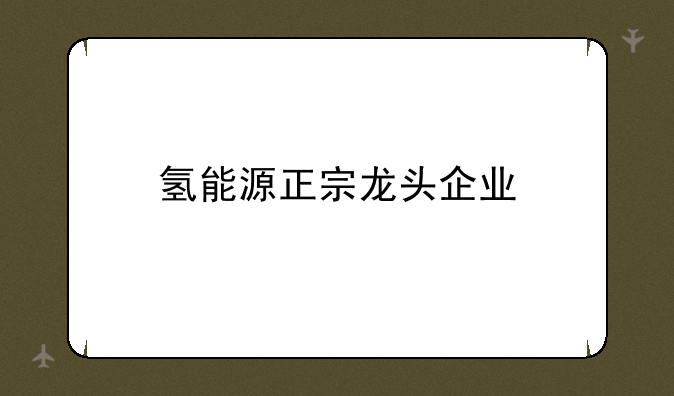 氢能源正宗龙头企业