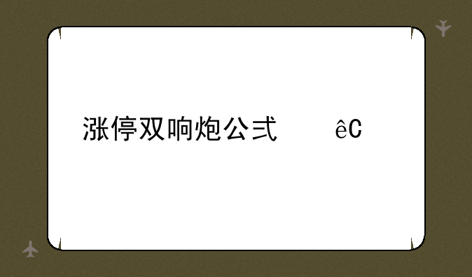 涨停双响炮公式源码