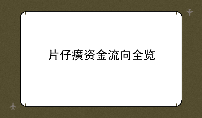 片仔癀资金流向全览