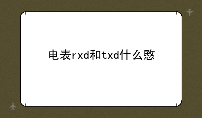 电表rxd和txd什么意思