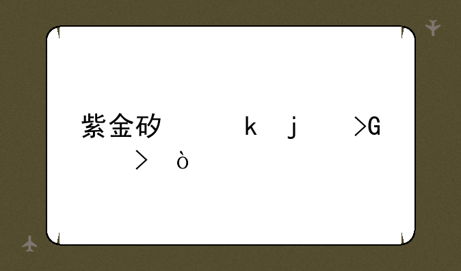 紫金矿业的发家史？