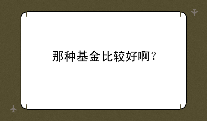 那种基金比较好啊？