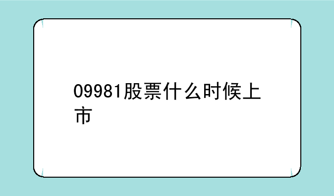 09981股票什么时候上市