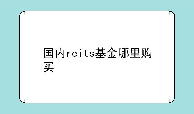 国内reits基金哪里购买