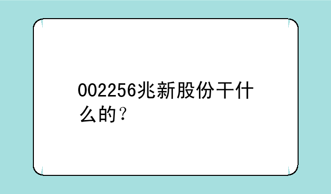 002256兆新股份干什么的？