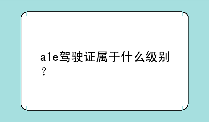 a1e驾驶证属于什么级别？