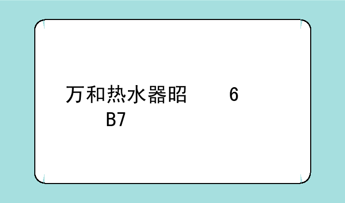 万和热水器是十大名牌吗