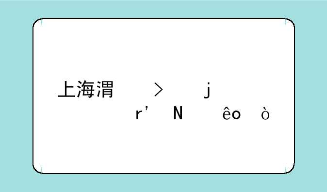 上海港口的码头有哪些？