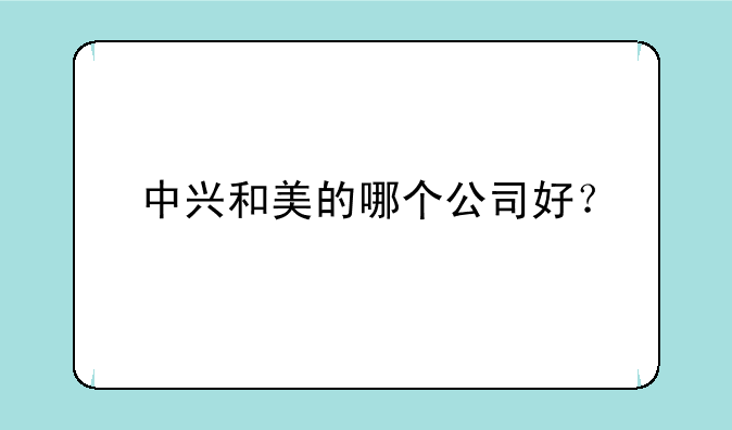 中兴和美的哪个公司好？