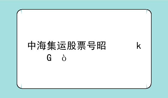 中海集运股票号是多少？