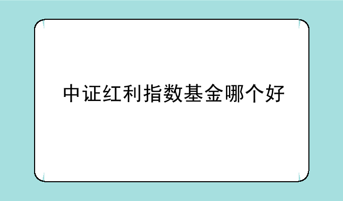 中证红利指数基金哪个好