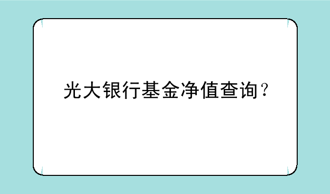 光大银行基金净值查询？