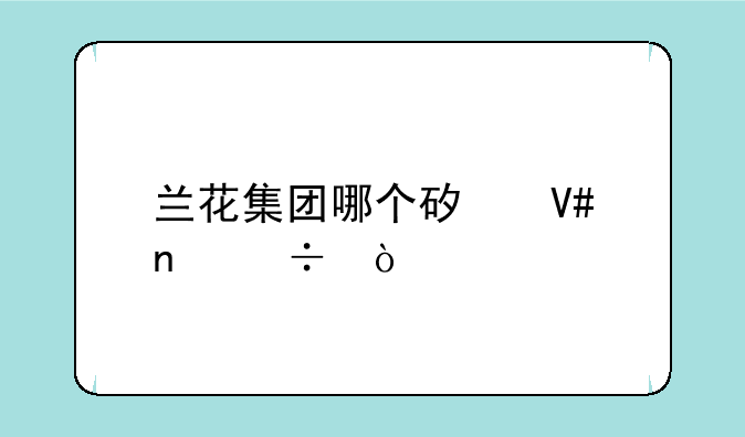 兰花集团哪个矿效益好？