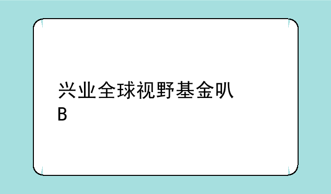 兴业全球视野基金可以吗