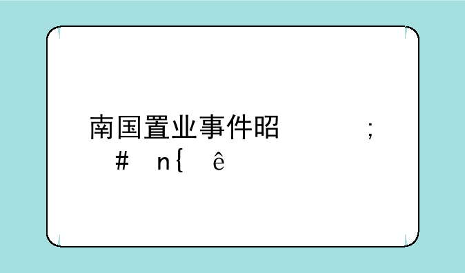 南国置业事件是怎么回事