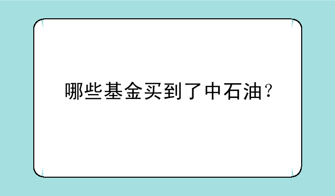 哪些基金买到了中石油？