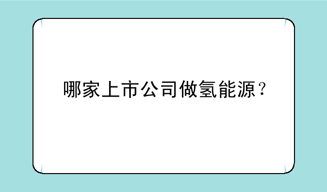 哪家上市公司做氢能源？