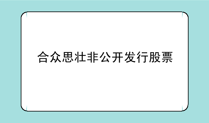 合众思壮非公开发行股票