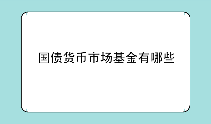 国债货币市场基金有哪些