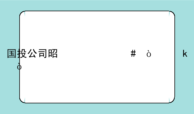 国投公司是个什么企业？