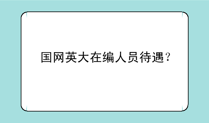 国网英大在编人员待遇？