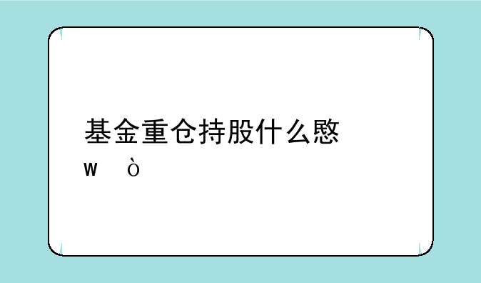 基金重仓持股什么意思？