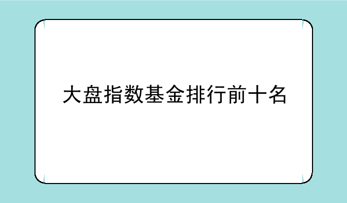 大盘指数基金排行前十名