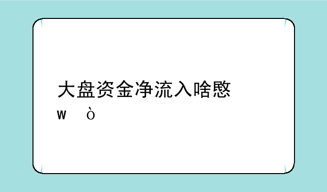 大盘资金净流入啥意思？