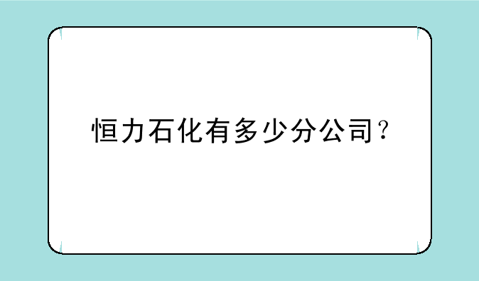 恒力石化有多少分公司？