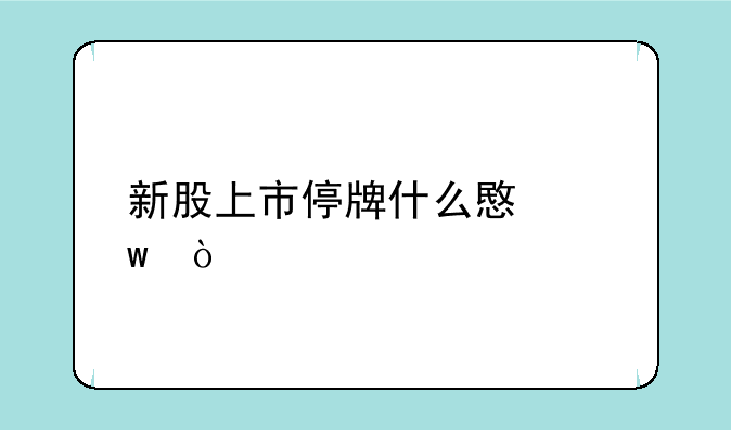 新股上市停牌什么意思？