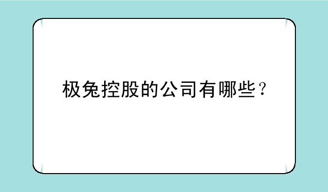 极兔控股的公司有哪些？