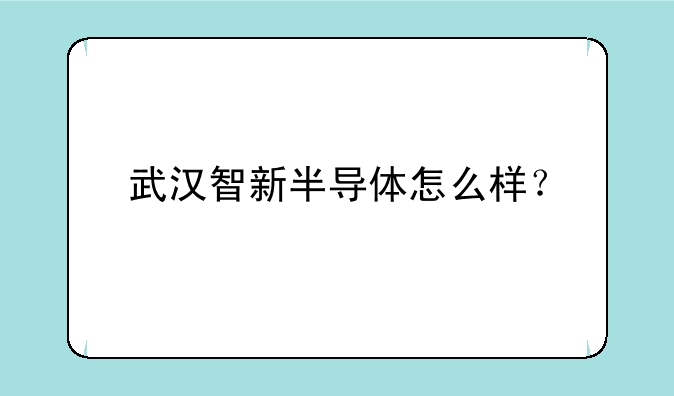 武汉智新半导体怎么样？