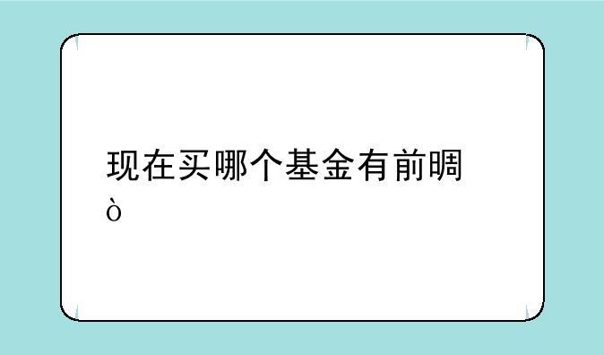 现在买哪个基金有前景？