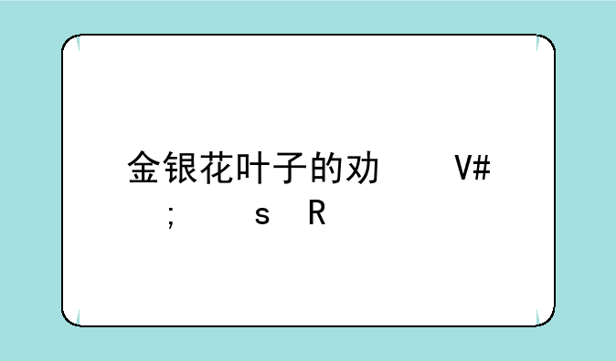 金银花叶子的功效与作用