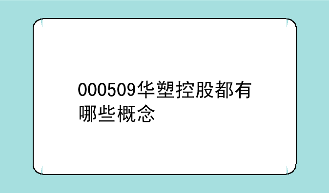 000509华塑控股都有哪些概念