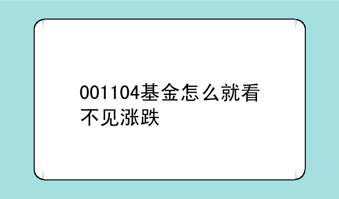 001104基金怎么就看不见涨跌