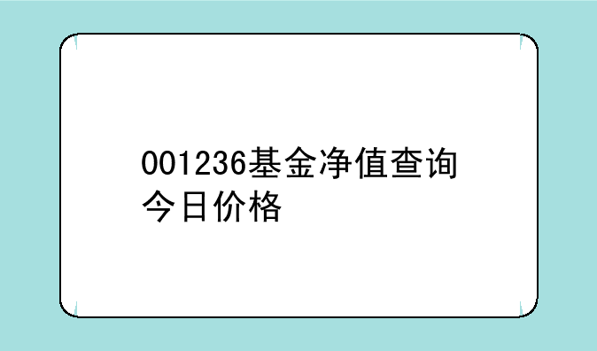 001236基金净值查询今日价格