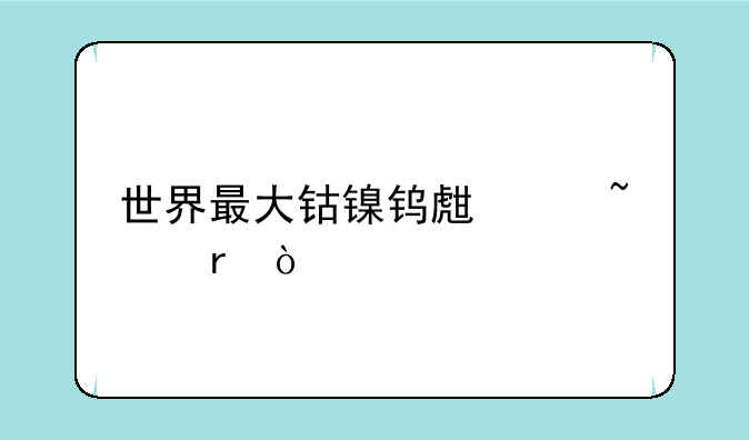 世界最大钴镍钨生产基地？