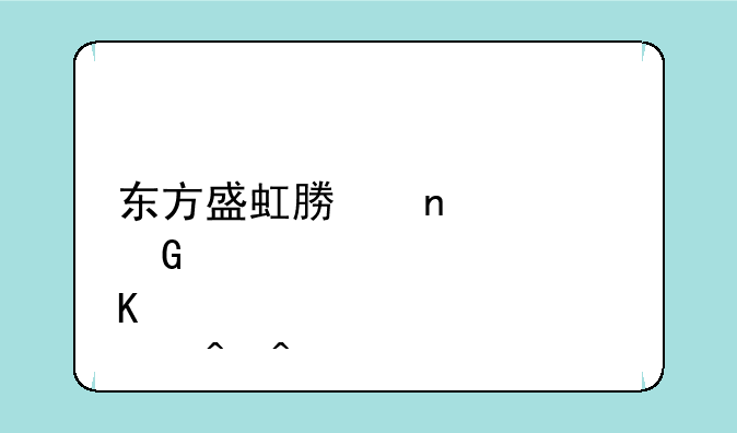 东方盛虹募集资金炒股时间