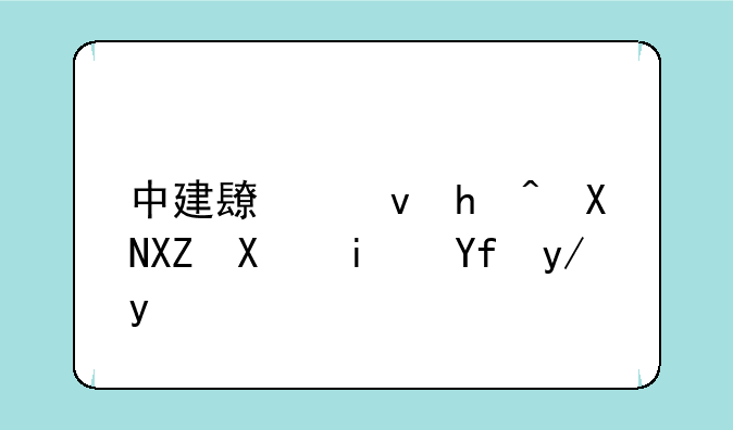 中建长江投资公司是国企吗