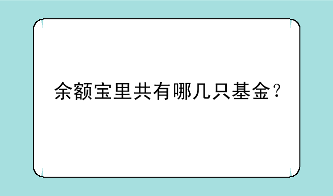 余额宝里共有哪几只基金？