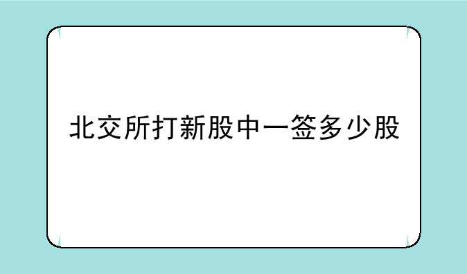 北交所打新股中一签多少股