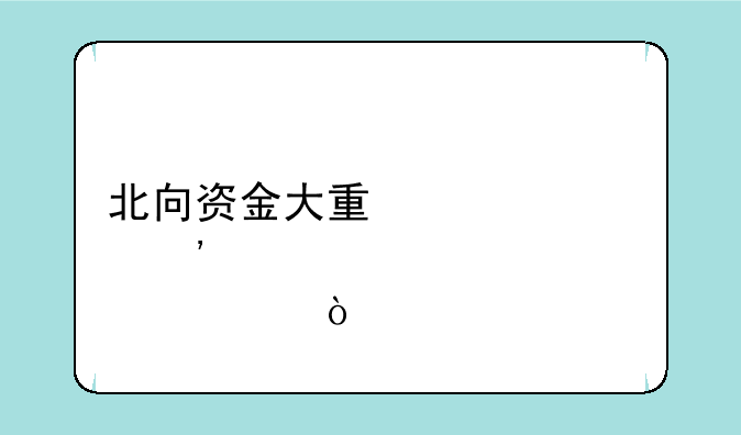 北向资金大量流入选股公式