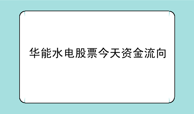 华能水电股票今天资金流向