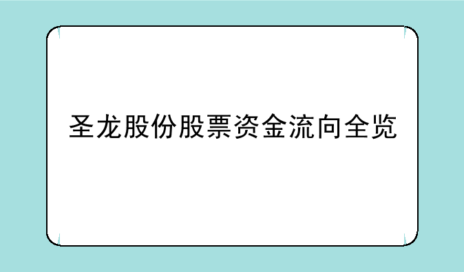 圣龙股份股票资金流向全览