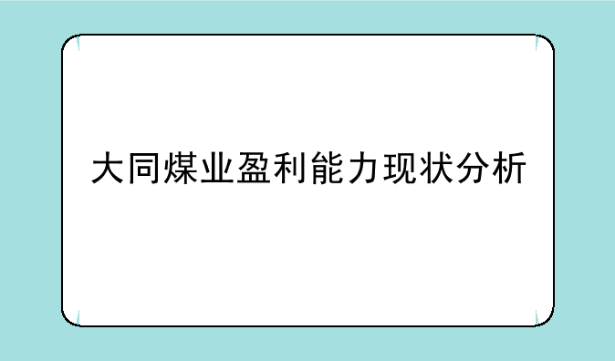 大同煤业盈利能力现状分析