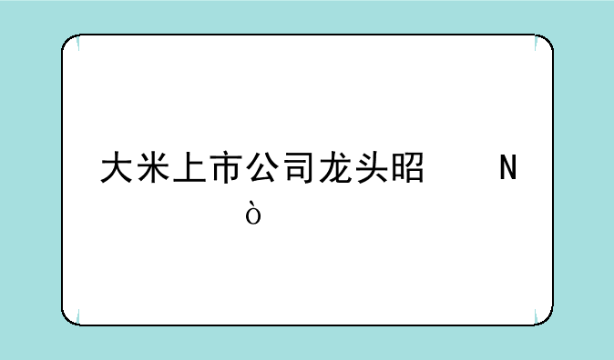 大米上市公司龙头是哪家？