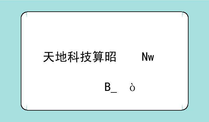 天地科技算是蓝筹股票吗？