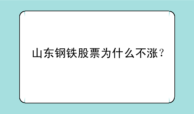 山东钢铁股票为什么不涨？