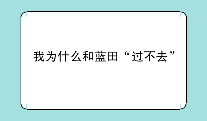 我为什么和蓝田“过不去”